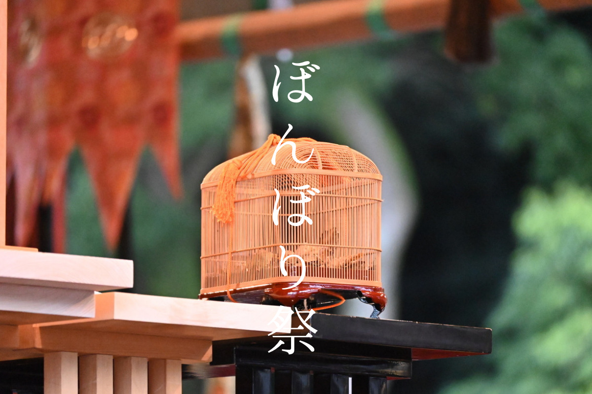 2025年♡鎌倉 鶴岡八幡宮ぼんぼり祭 日程 点灯時間 や屋台 種類・時間 と混雑状況について鶴岡八幡宮-御朱印