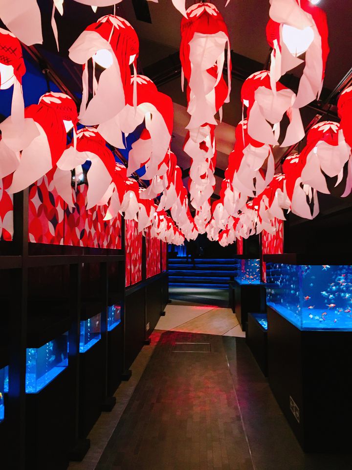 2025年宮崎県花火大会 日程まとめ：婚活デートプランを先取りせよ！ - 宮崎の婚活は結婚相談所ひなたのご縁