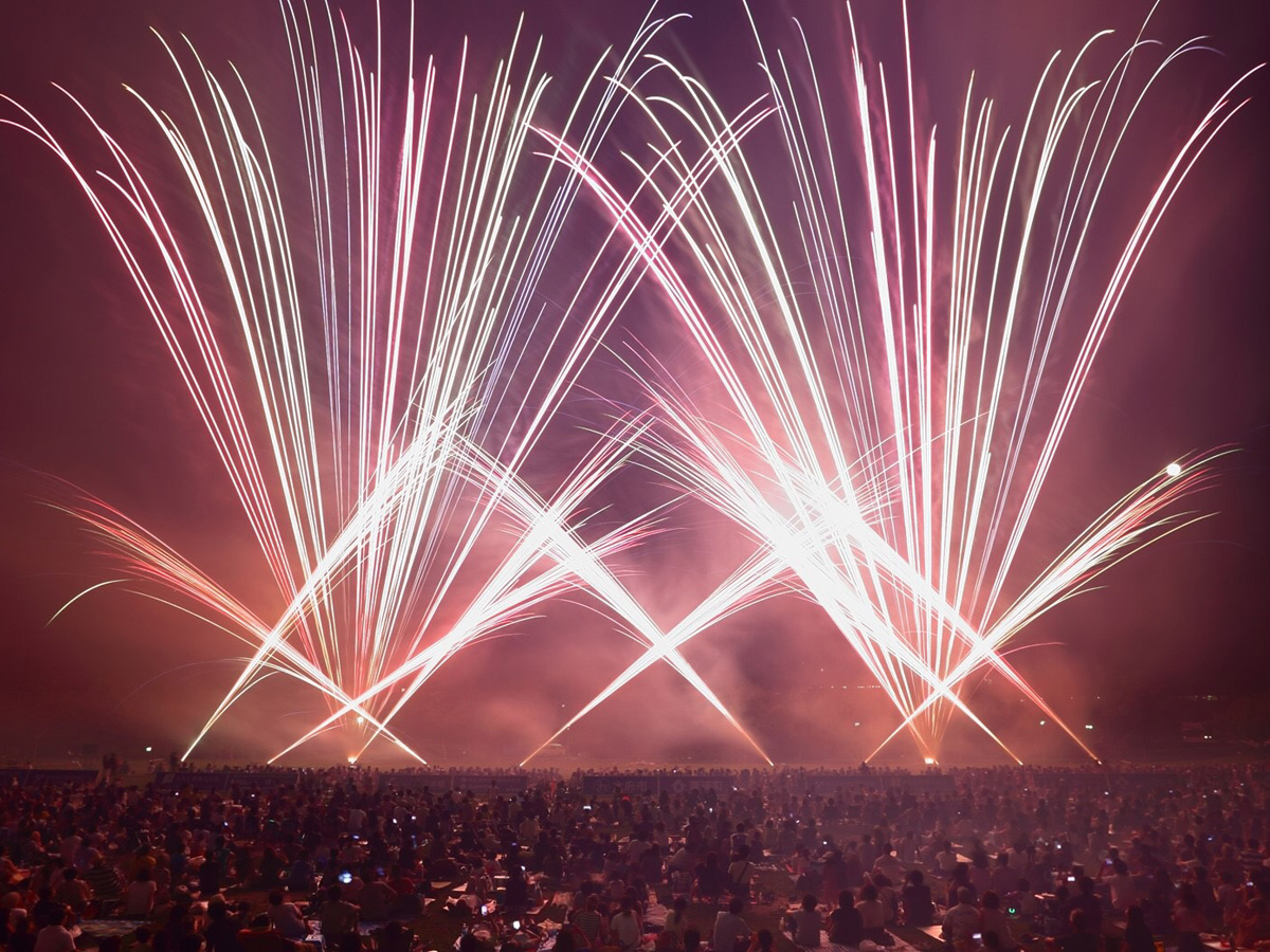 今年から秋開催に！「第9回 大府東浦花火大会」あいち健康の森公園で11 1 土 開催-記事-ちたまるNavi知多半島情報ポータル