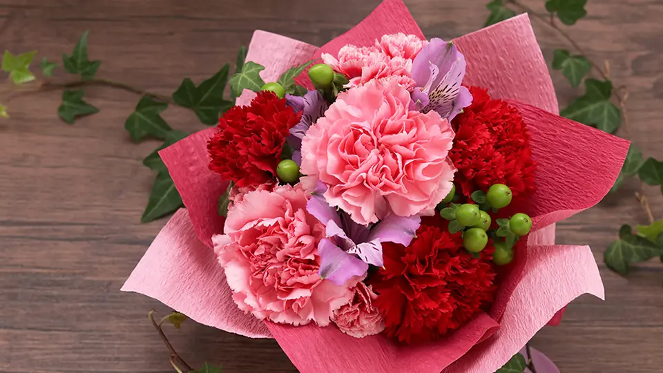 カーネーション鉢植えの育て方！母の日の贈り物をお家で育てよう花や花束の宅配・フラワーギフト通販なら花キューピット。贈り物・プレゼントで花を贈ろう