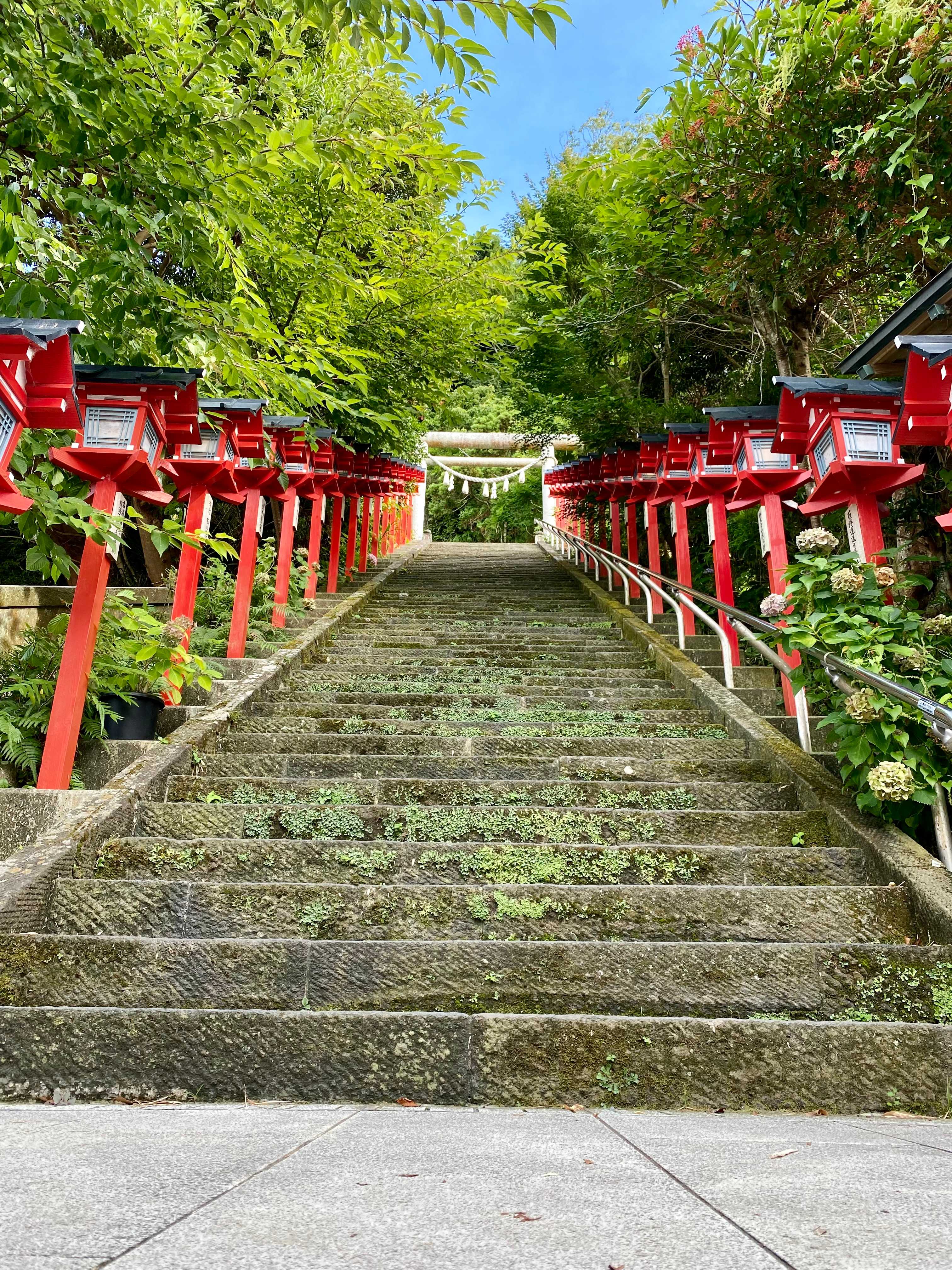 2025 全国の「大規模ひな祭り」イベント13選 神社や階段に雛人形展示いこーよニュース