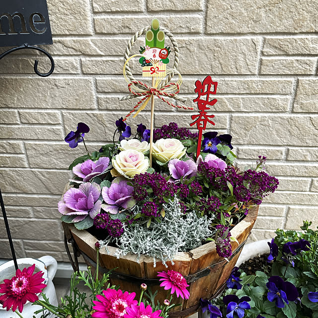 12 12 土阪上先生の 季節の花で華やかに！クリスマス＆お正月 寄せ植えリメイク - GARDENER'S JAPAN ガーデナーズジャパン