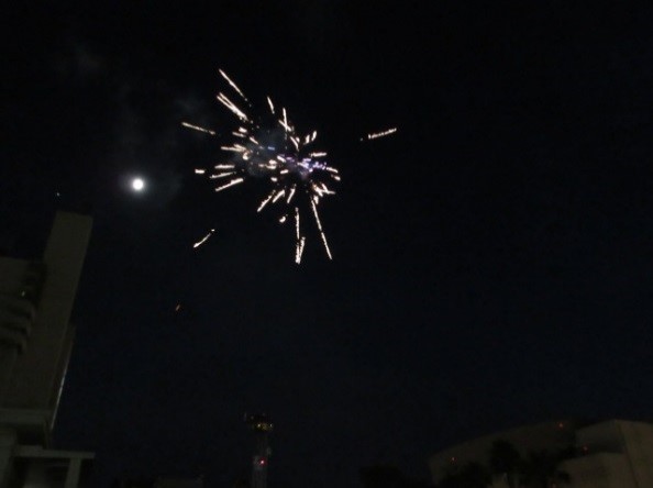 舞洲緑地 - SearchX