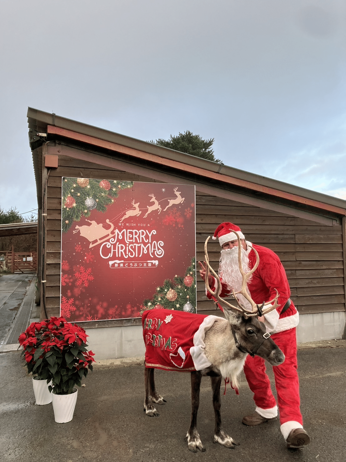 赤い鼻のトナカイの面白い漫画のキャラクターは、手を振っている手を興奮させた。 分離されたクリスマス ベクトル イラストのイラスト素材・ベクターImage 90851967