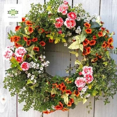 Amazonクリスマス 飾り 屋外 花鉢植 ガーデニング セット ポインセチア シクラメン ギフト観葉植物 オンライン通販