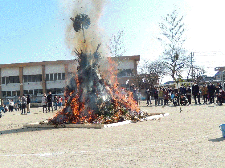 藤沢市、パンダ公園にて どんど焼きイベントに行ってきました✨餅つきパフォーマンスお餅餅正月