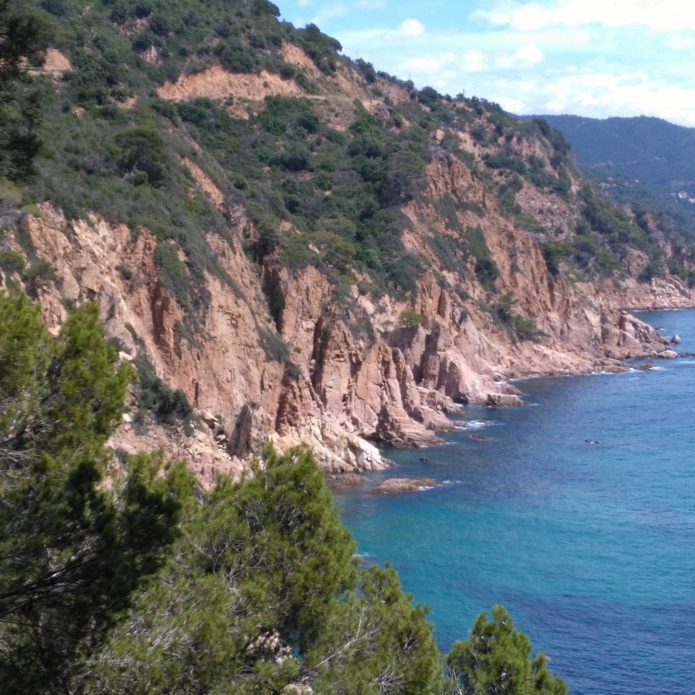 Santa Susanna Vino Rosso Medium Dry サンタ・スザンナVinica 無料のワインアプリ