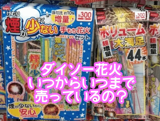 100均花火、100均購入品✨のんびり主婦の日々✨