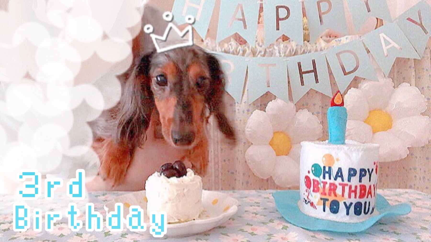 誕生日の飾り付けに最適な百均アイデア2025 年のリアルなLemon8ユーザー体験