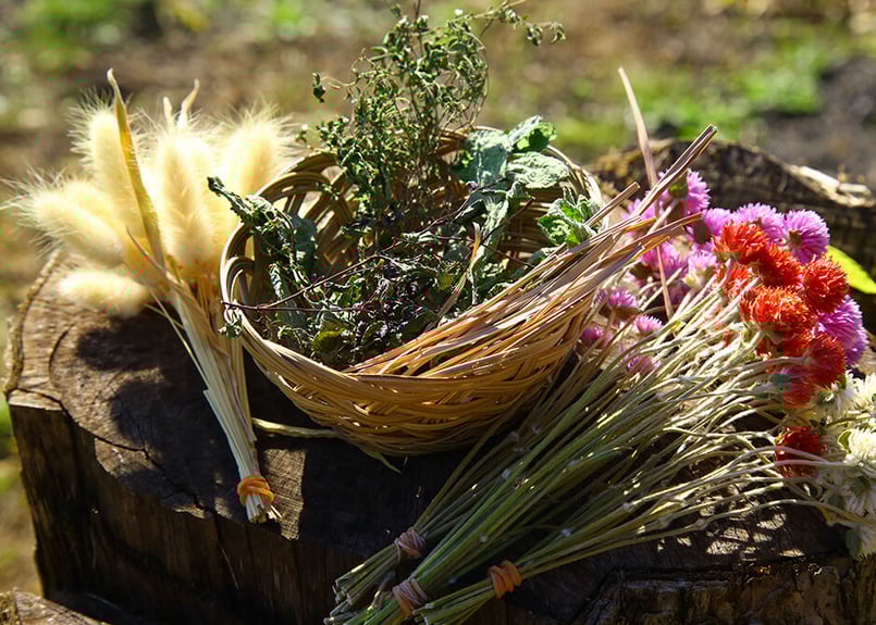 手作りクリスマスを楽しもう♪ドライフラワーのオーナメント 並び順：価格 高い順