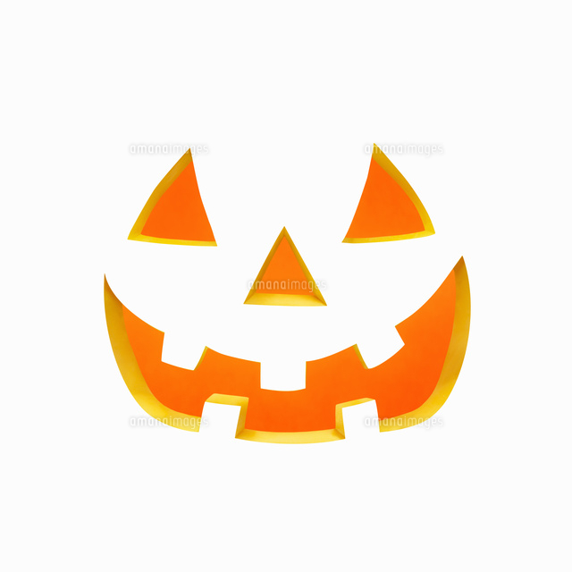 おばけかぼちゃを展示しました神戸市立王子動物園 公式