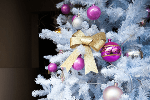 クリスマスローズの状態がおかしいです。葉が茶色くなり、根の 園芸相談Q＆Aみんなの趣味の園芸