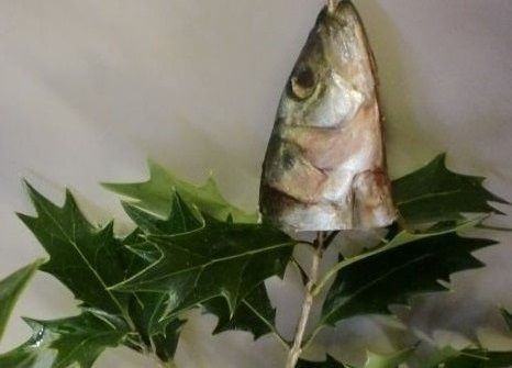 節分」日本の文化を伝えたいと枝豆産地で節分用の柊セットを販売。 : 江戸東京野菜通信大竹道茂の伝統野菜に関する情報ブログ