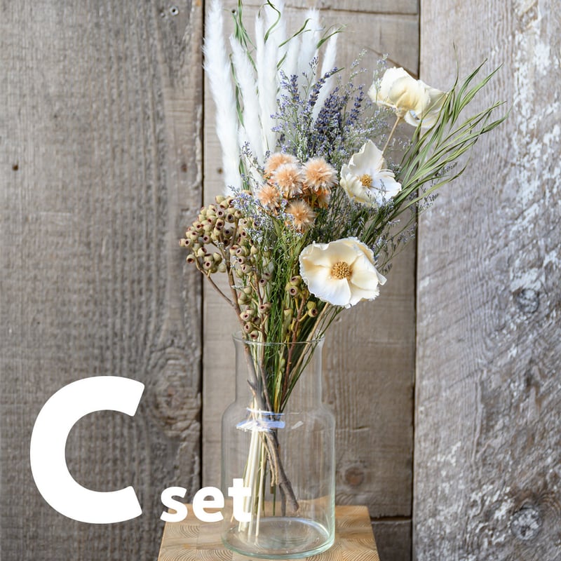 ドライフラワーアレンジメント用花材セット 楽天市場 クリスマス ドライフラワー 花材 小さめ レジン ハーバリウム セット 花材セットリースキャンドル サシェ 素材 材料 手作り ハンドメイド リングピロー フラワーアレンジ 1000円ポッキリ 送料無料 : 多肉植物