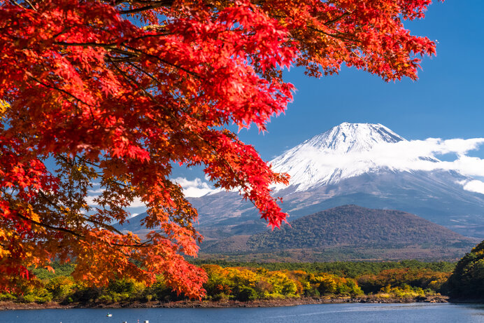 初秋の候を使う時期はいつ？読み方や意味は？使い方の例文と結び！デジャブロ.com