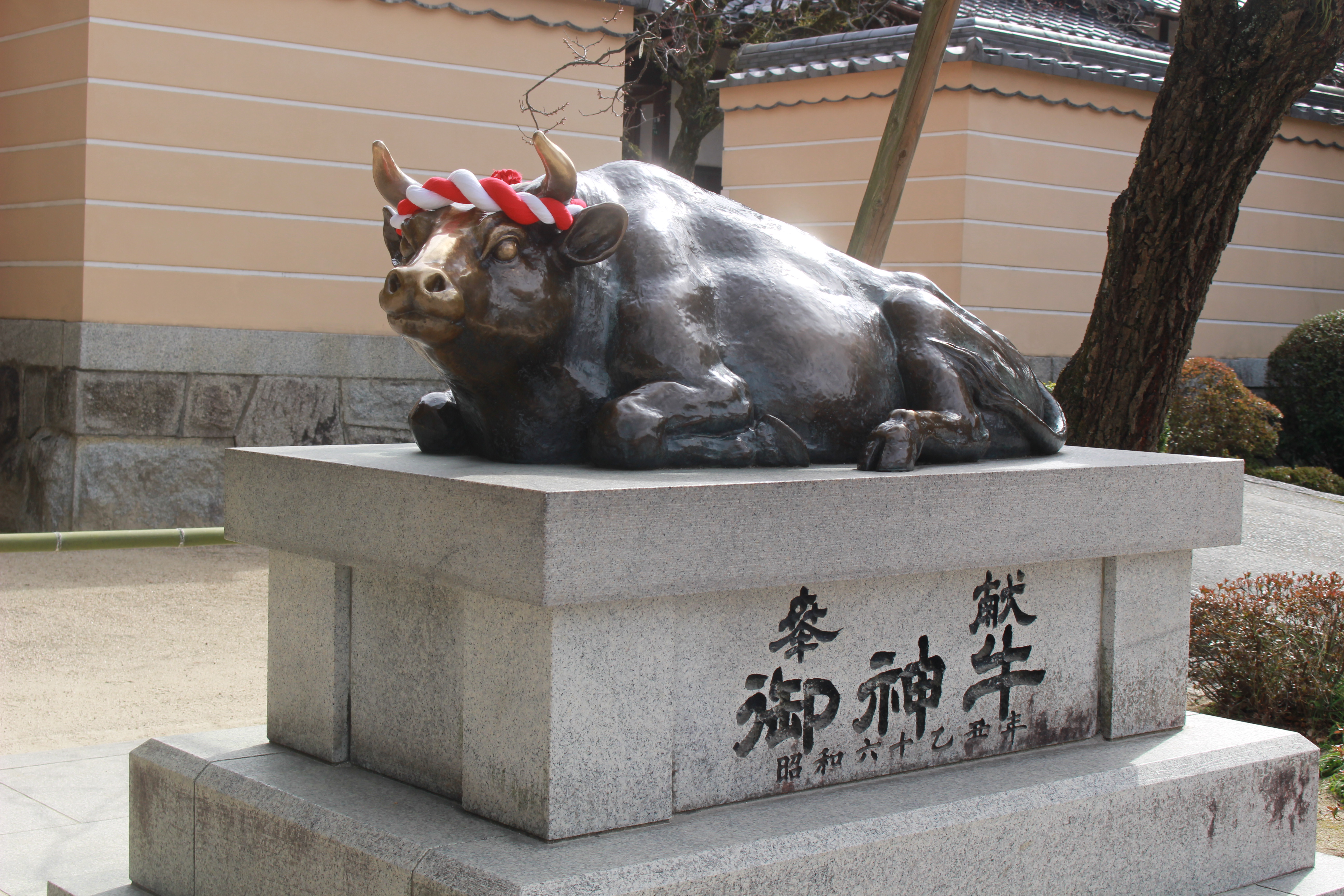 北野天満宮と牛 - 北野天満宮