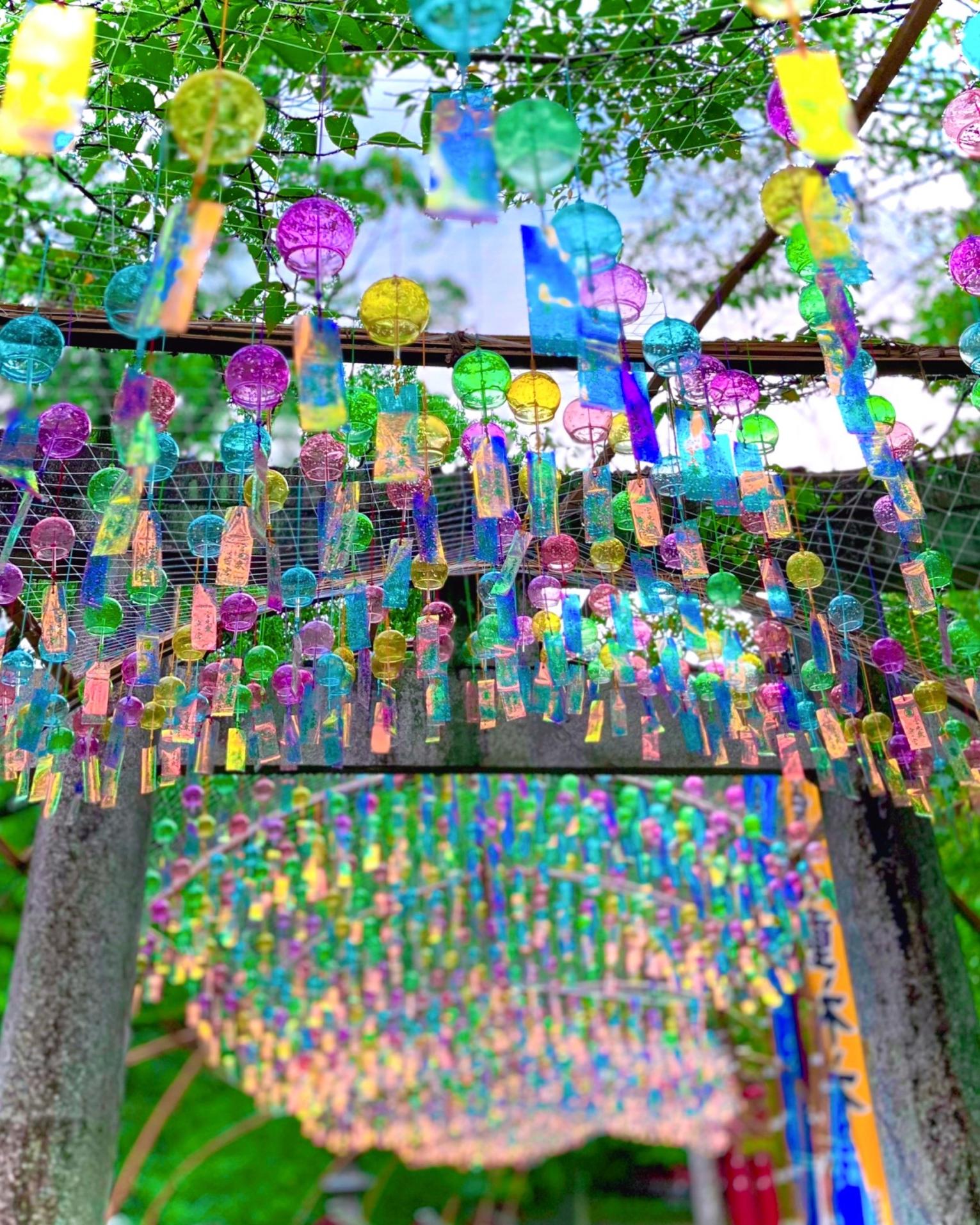 ７月２５日から、風鈴まつりがはじまります🥰✨ 今日は、世話人さんが、風鈴を飾り付けてくれました。 いつも、細やかにしてくださり 楽しくしてくださり大感謝です！風鈴まつりふうりんまつり風鈴