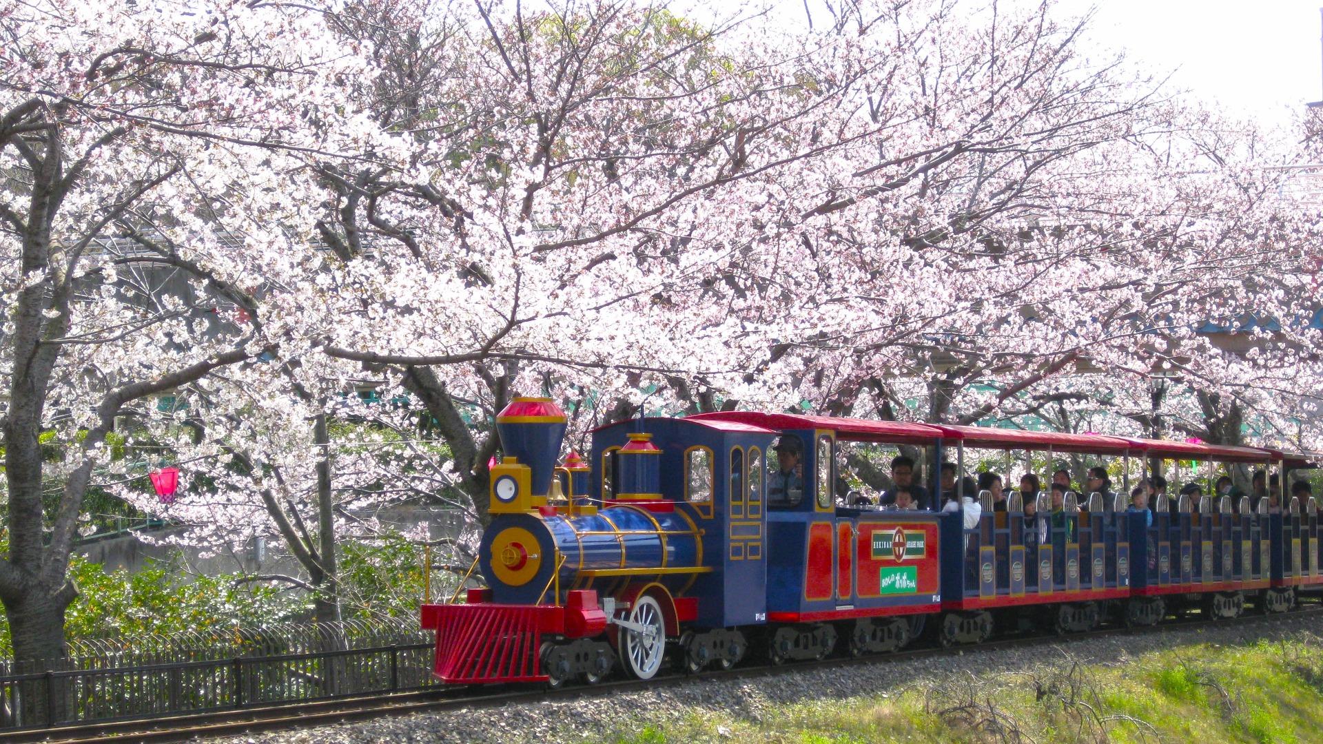 明石公園桜まつり愛知県碧南市公式観光サイト へきなん観光ナビ
