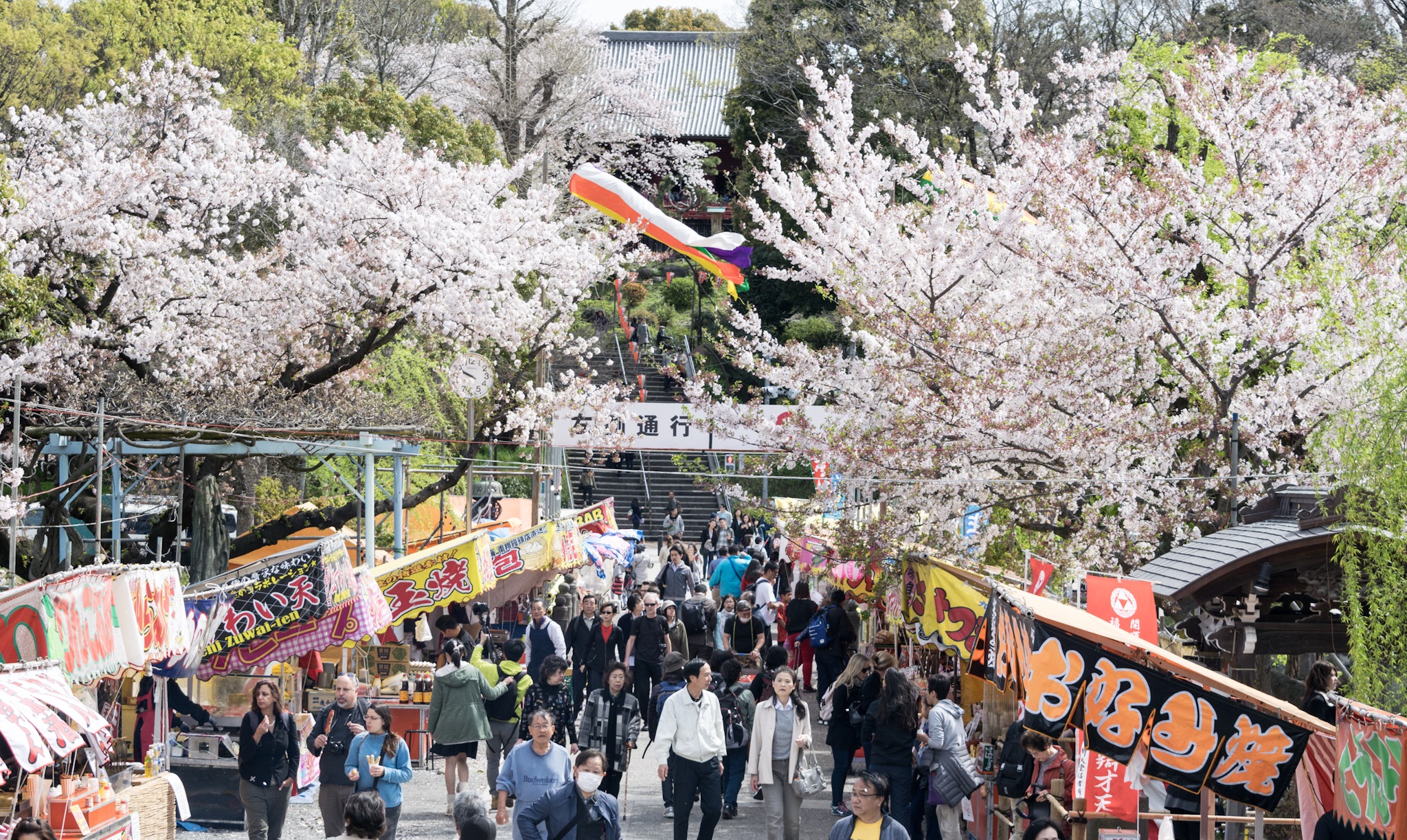 上野桜まつりと屋台グルメを楽しもう！2025 年のリアルなLemon8ユーザー体験