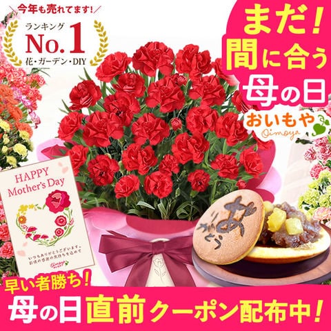 フラワーアレンジメント 赤 オレンジ バラ カーネーション プレゼント シャンパンとお花のギフ