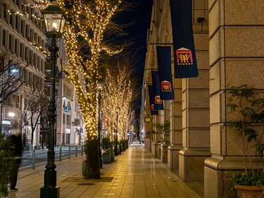 東京の美しく輝く街並み クリスマスから新年まで楽しめるイルミネーション2018-2019 – Charmey