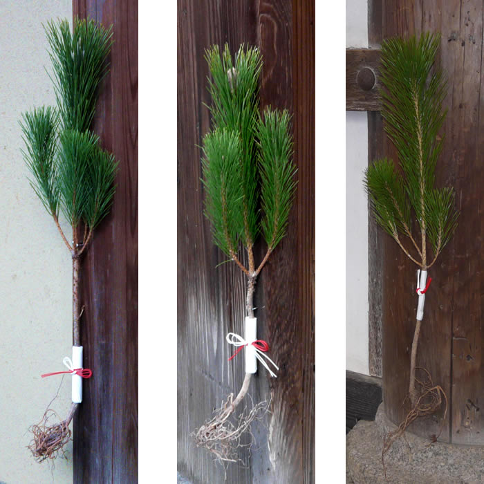 門松はいつ飾る？ お正月飾りの基礎知識結婚式・披露宴マナーAll About