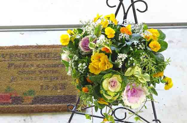 セール品大好き ホームセンター大好き コメリ 葉牡丹 お正月寄せ植え などのインテリア実例 - 2020-12-27 23:15:19RoomClip ルームクリップ