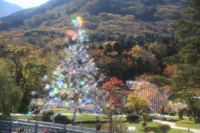 箱根には色々なクリスマスツリーが飾られています箱根町観光協会公式サイト 温泉・旅館・ホテル・観光情報満載