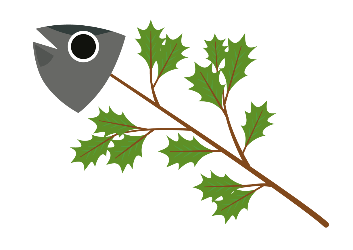 おいしい天狗印枝豆、天狗印厳選米「コシヒカリ100」を販売しています。天狗印枝豆節分用「柊セット」