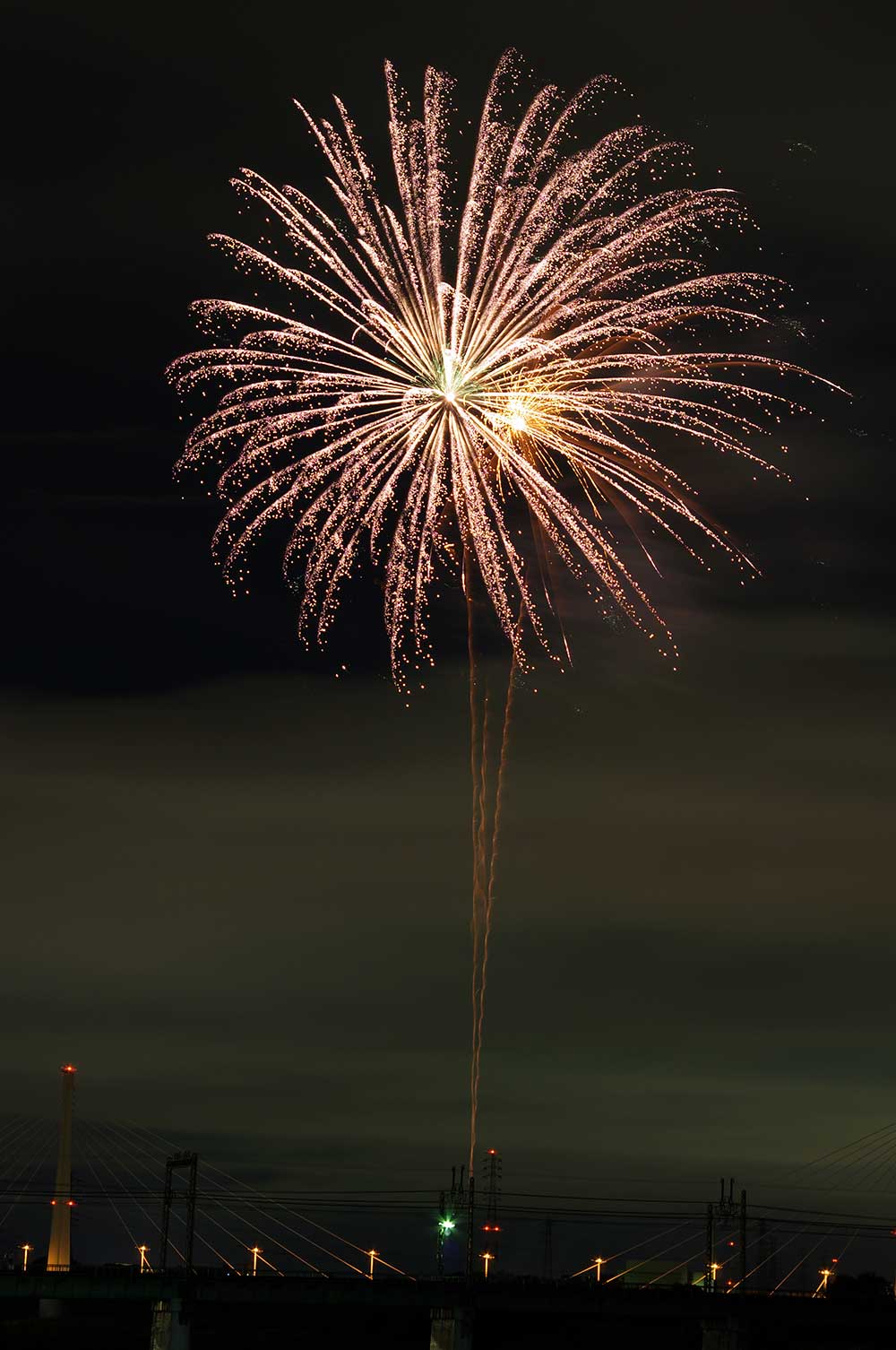 花火の写真素材写真素材なら「写真AC」無料 フリー ダウンロードOK