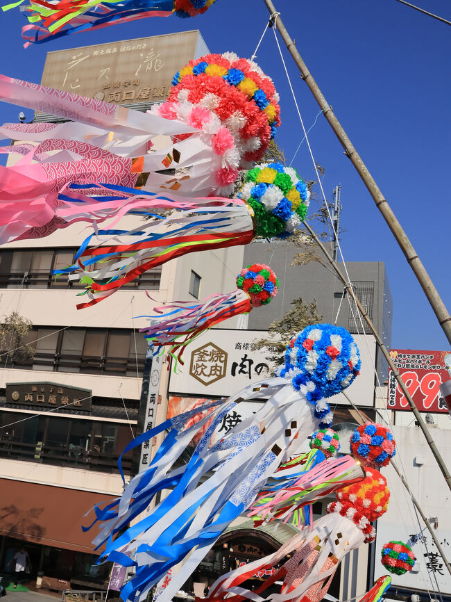 安城七夕まつり 26121020499 の写真・イラスト素材アマナイメージズ