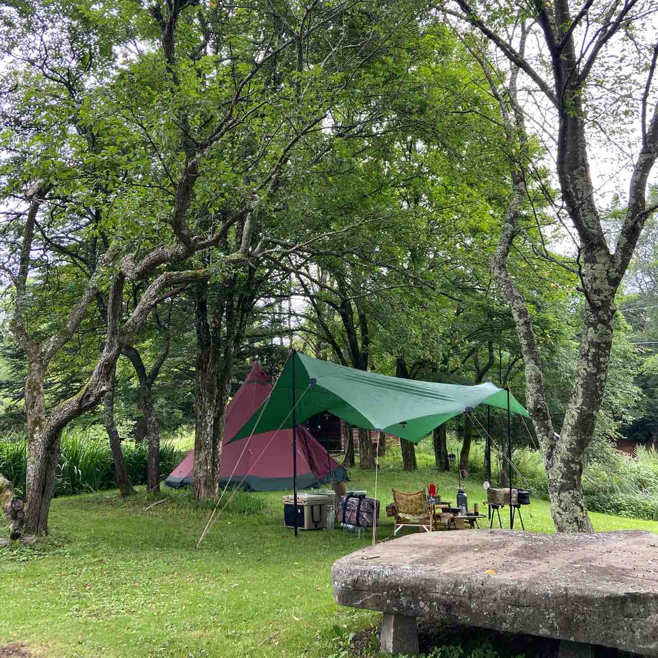 お盆休みの最終日に一向平キャンプ場に行って来ました。, 標高高く、木陰も多いため、朝晩は過ごしやすかった。,高規格な、キャンプ場でまた来ようと思います。,ソロキャンプ ,とりキャン公式アンバサダー ,pr ,鳥取キャンプ ,キャンプ場 ,鳥取キャンプ掲載希望,とっとりキャンプ,とっとりキャンプ掲載希望