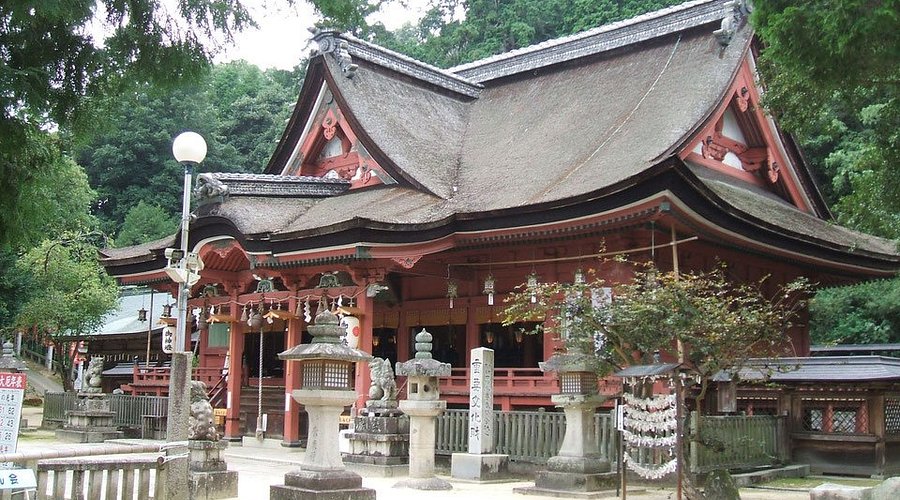 秋は一宮さんの市立大祭 大公孫樹 オオイチョウ はまた次回🤗福山市福山fukuyama一宮さん吉備津神社備後一宮吉備津神社市立大祭祭り秋祭り屋台出店和太鼓福山アンバサダ