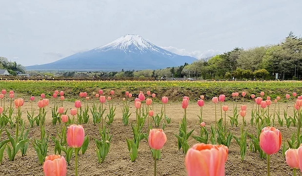 2025年日本连休假期日历，这些时间千万别去日本 哈啰日本
