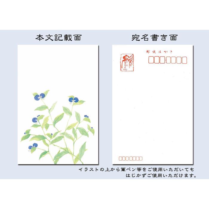 お中元送り状・お礼状・封筒- お中元お役立ちテンプレート「中元蔵」