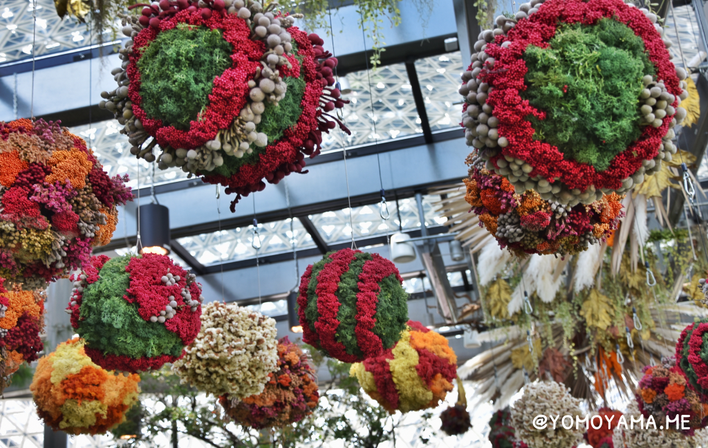 最新 フローラル・ファンタジー - チケット、営業時間、口コミ、写真2025年Trip.com