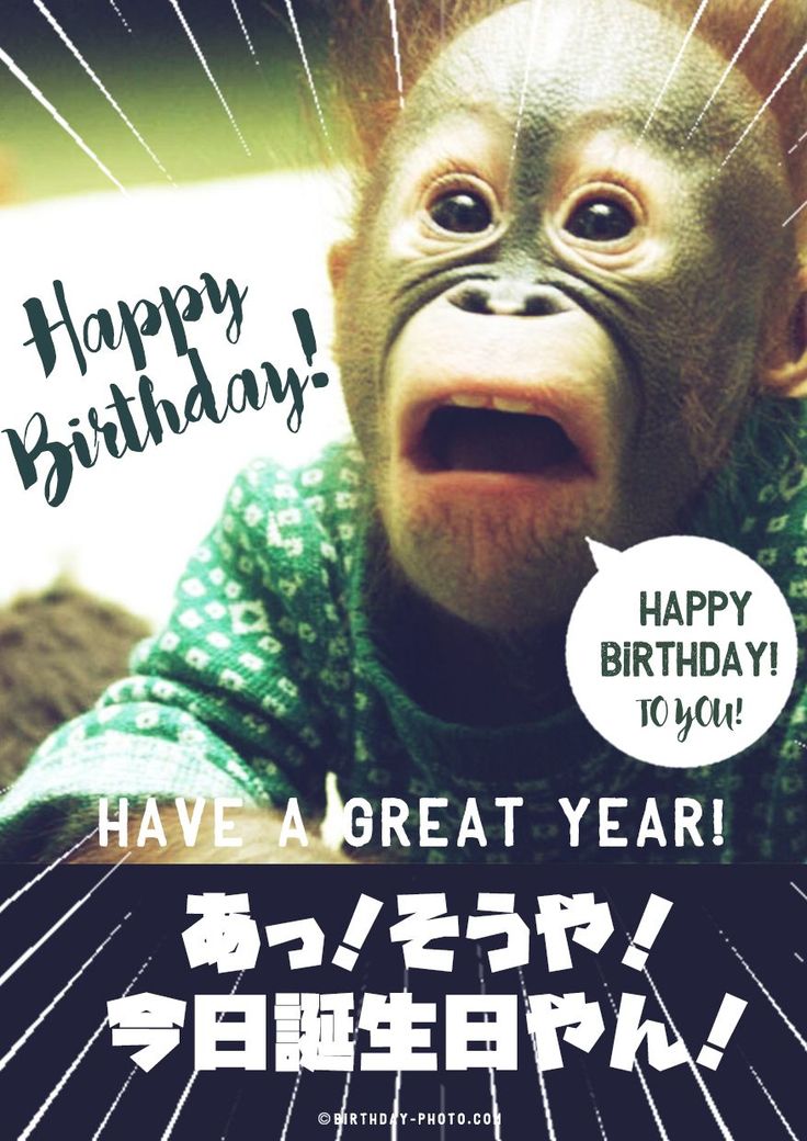 笑える誕生日メッセージ」のアイデア 9 件笑える誕生日メッセージ, 誕生日 画像 おもしろ, おめでとう 画像