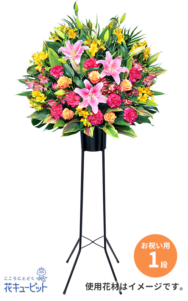 開業祝い・開店祝いにおすすめの花相場とマナー観葉植物・お花の通販 AND PLANTSアンドプランツ