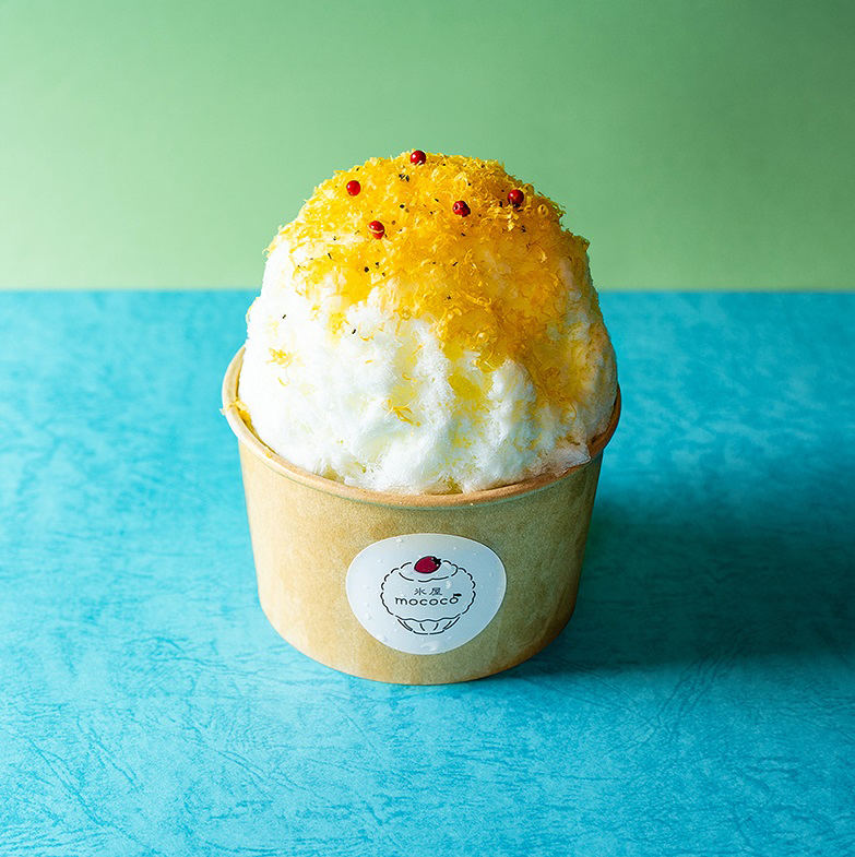 大宮タカシマヤで「大北海道展」が2025 4 16 水 〜4 28 月 まで開催！猫の道案内