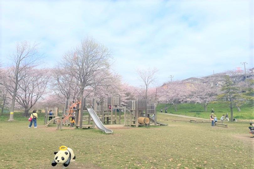 23 6 4 日 第35回-親水公園市民まつり: honzaイベント日記