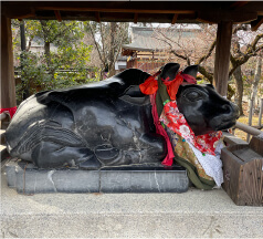 広い境内は見どころ満載！いざ、早春の福岡「太宰府天満宮」へGOウォーカープラス