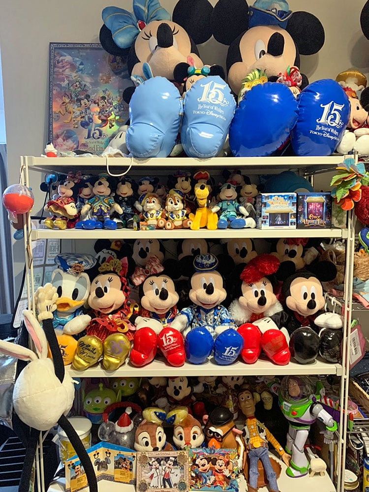 大切なぬいぐるみにおすすめ収納15選 - グッズ収納専門通販 Sukkiri Store