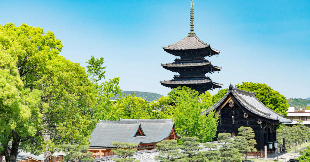 保存版 京都 東寺 感動の 夜桜ライトアップ✨ 見どころや混雑回避について - 京の写真旅 ～kyoto Photos Trip～