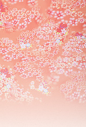 スタジオ・小物・背景 紹介します🌼笑顔創造写真館nicoショップブログ