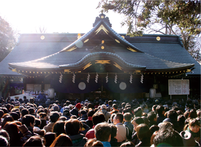 大國魂神社すもも祭り2025何時まで?からす扇子・団扇の買い方や屋台についてかもめブログ