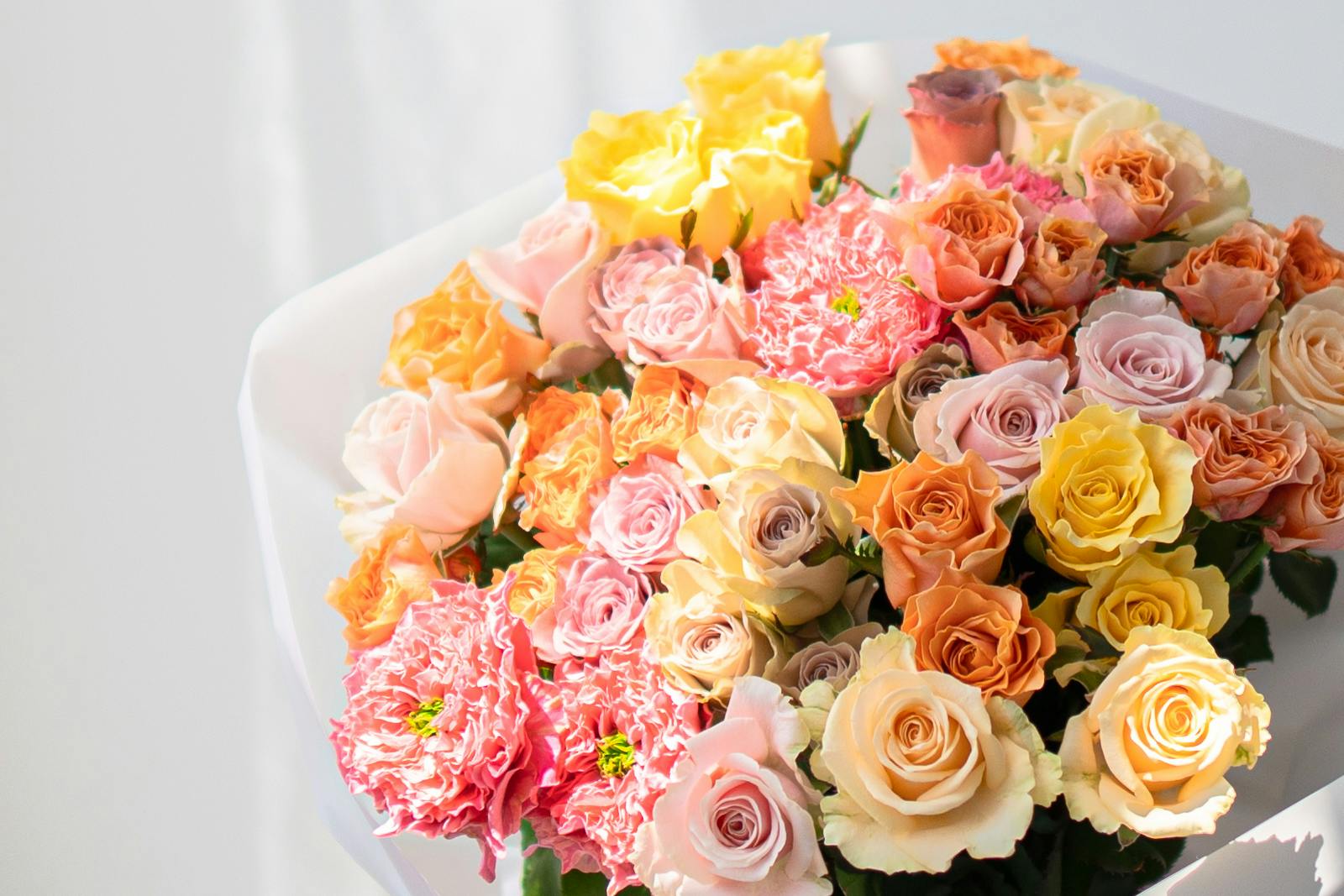 バラ20本の花束 色が選べる レッド イエロー ピンク 薔薇 季節の花束 楽天 スーパーセール 送料無料 送料込み 土日も出荷 プレゼント 花 敬老の日2025 生花 お祝い 記念日 ギフト 税込 還暦 プロポーズ 誕生日 退職 妻 奥さん 嫁 母 ママ クール便選択可能 50本バラ花束