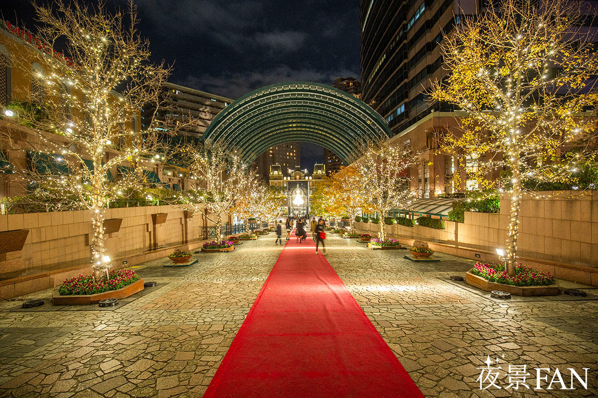 恵比寿ガーデンプレイスのイルミネーションを見た後に寄りたい、クリスマスディナーの店４選 │ ヒトサラマガジン