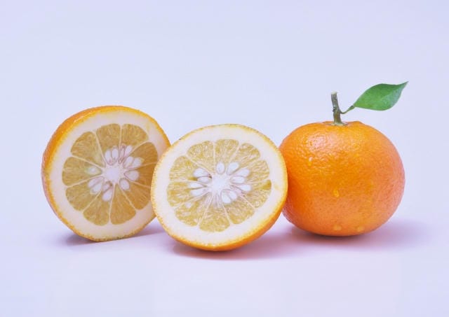 数量限定 鏡餅 L - Fine Craft - 木工・硝子・陶器の店 ファインクラフト