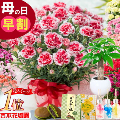 ママを応援する動画メディア「mamatas」との初コラボによるオリジナル商品 親子で楽しめる「ジェルネイルシール」をDAISOで4月中旬から発売株式会社大創産業のプレスリリース