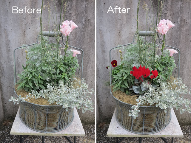 実例５選 玄関に飾りたいお正月に似合うハレの日の寄せ植えGardenStoryガーデンストーリー